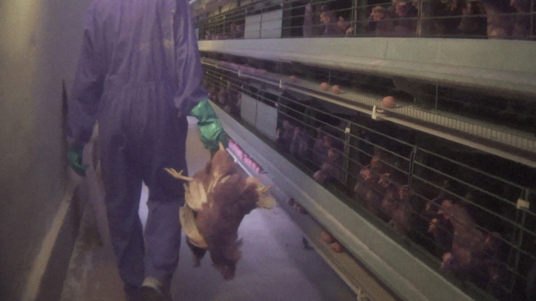 Alcune immagini dell'indagine sotto copertura 