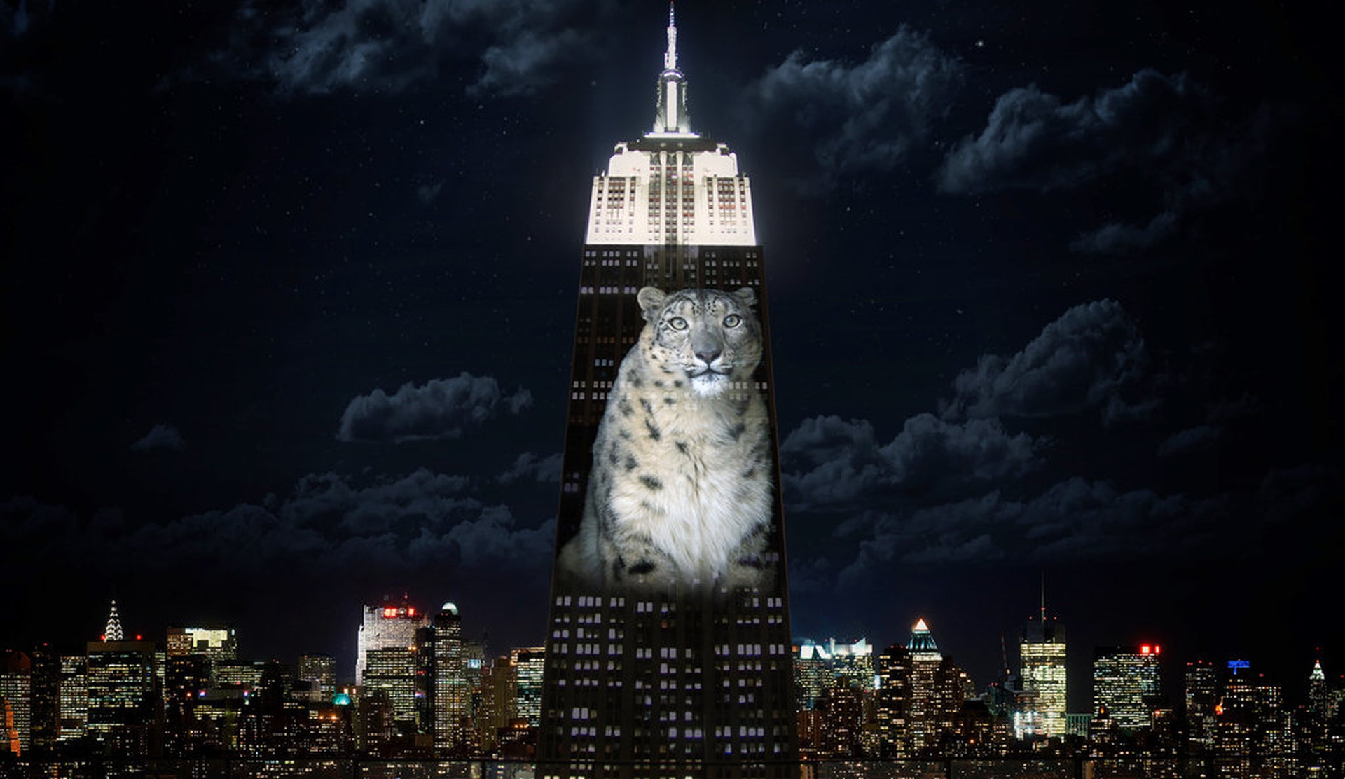 leopardo delle nevi proiettato su Empire State Building