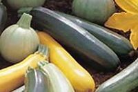 Zucchine ripiene di bulgur e feta