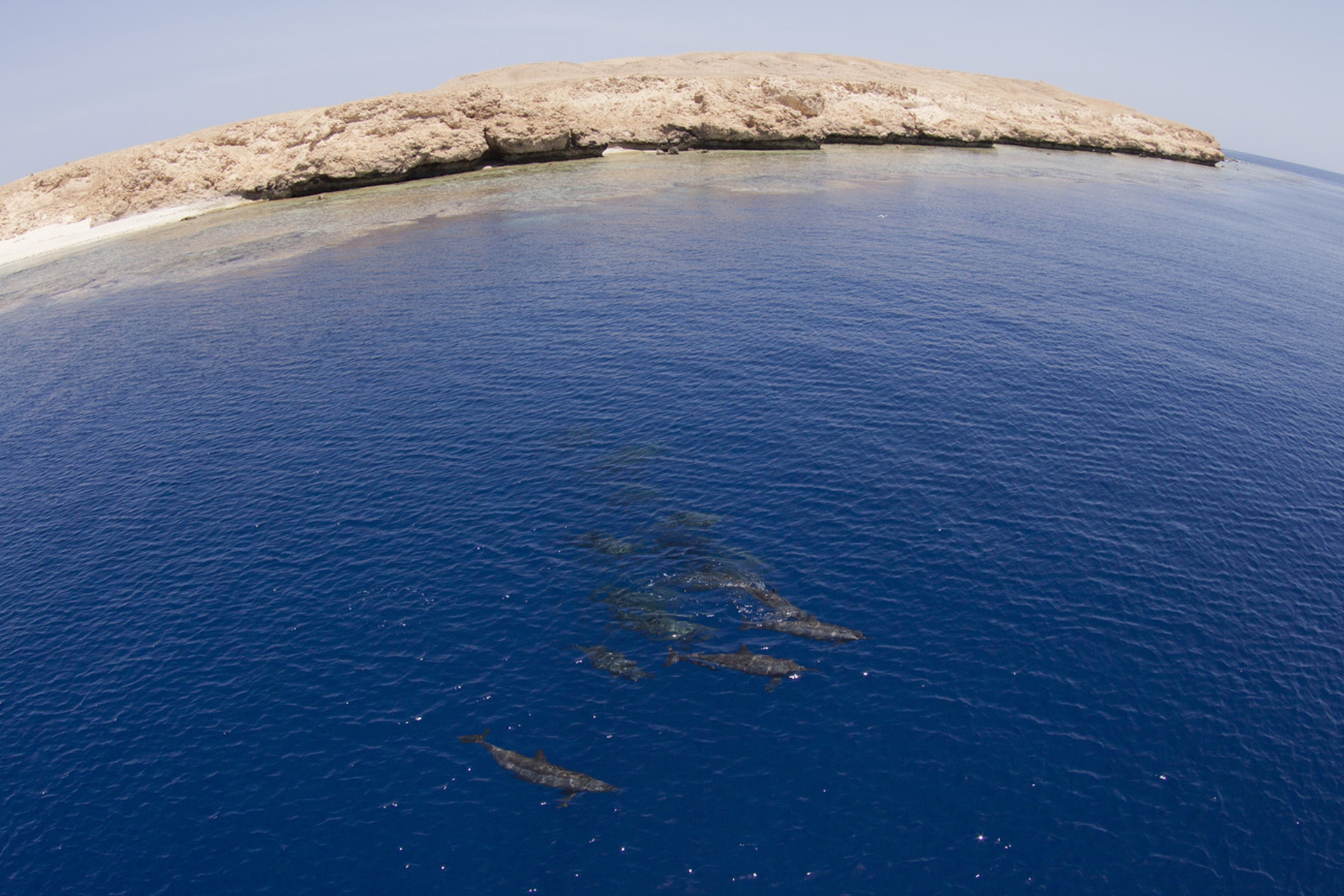 Rocky island, mar Rosso, Egitto