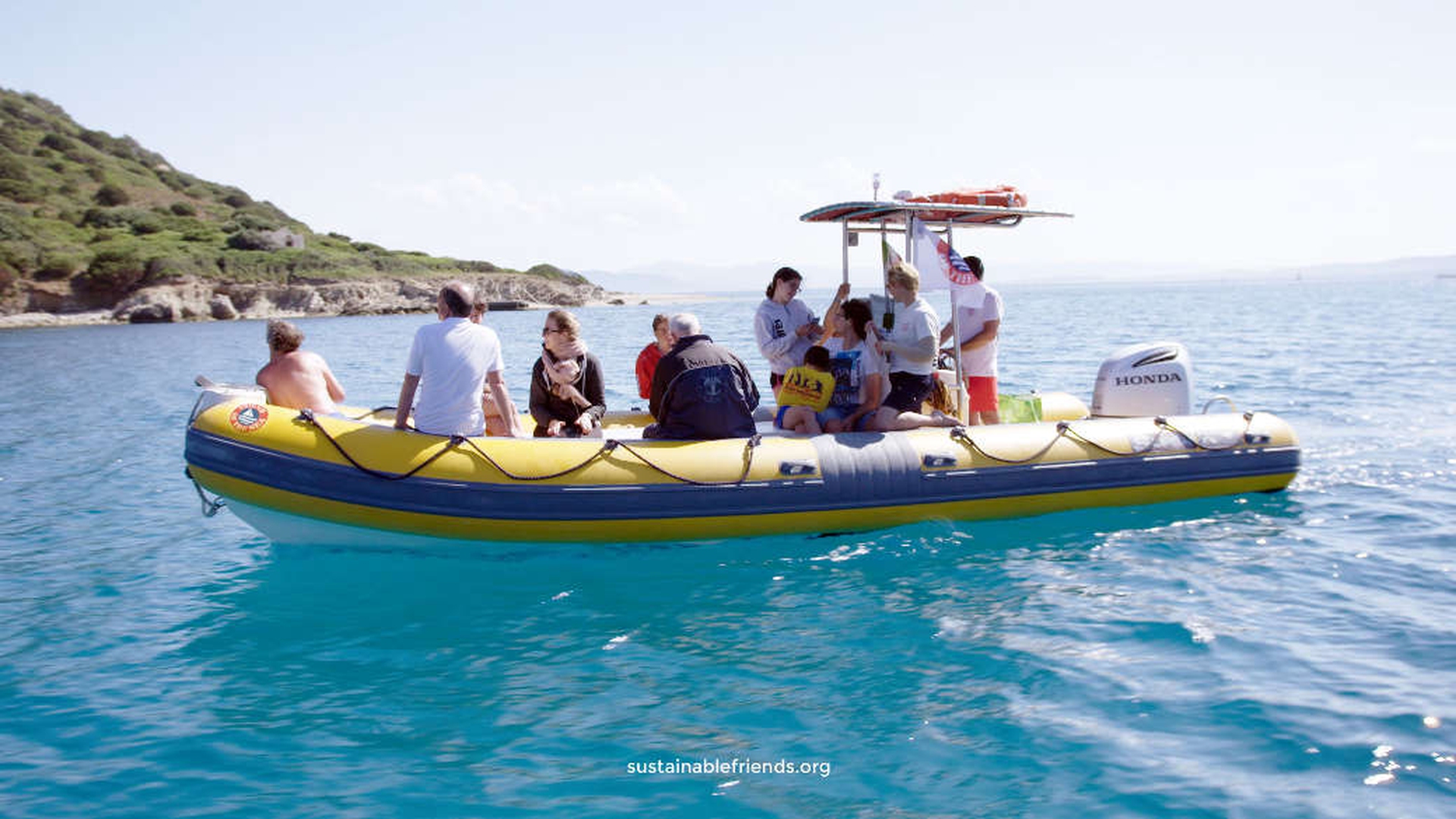 Vedere i delfini in Sardegna: si può tutto l'anno a Golfo Aranci