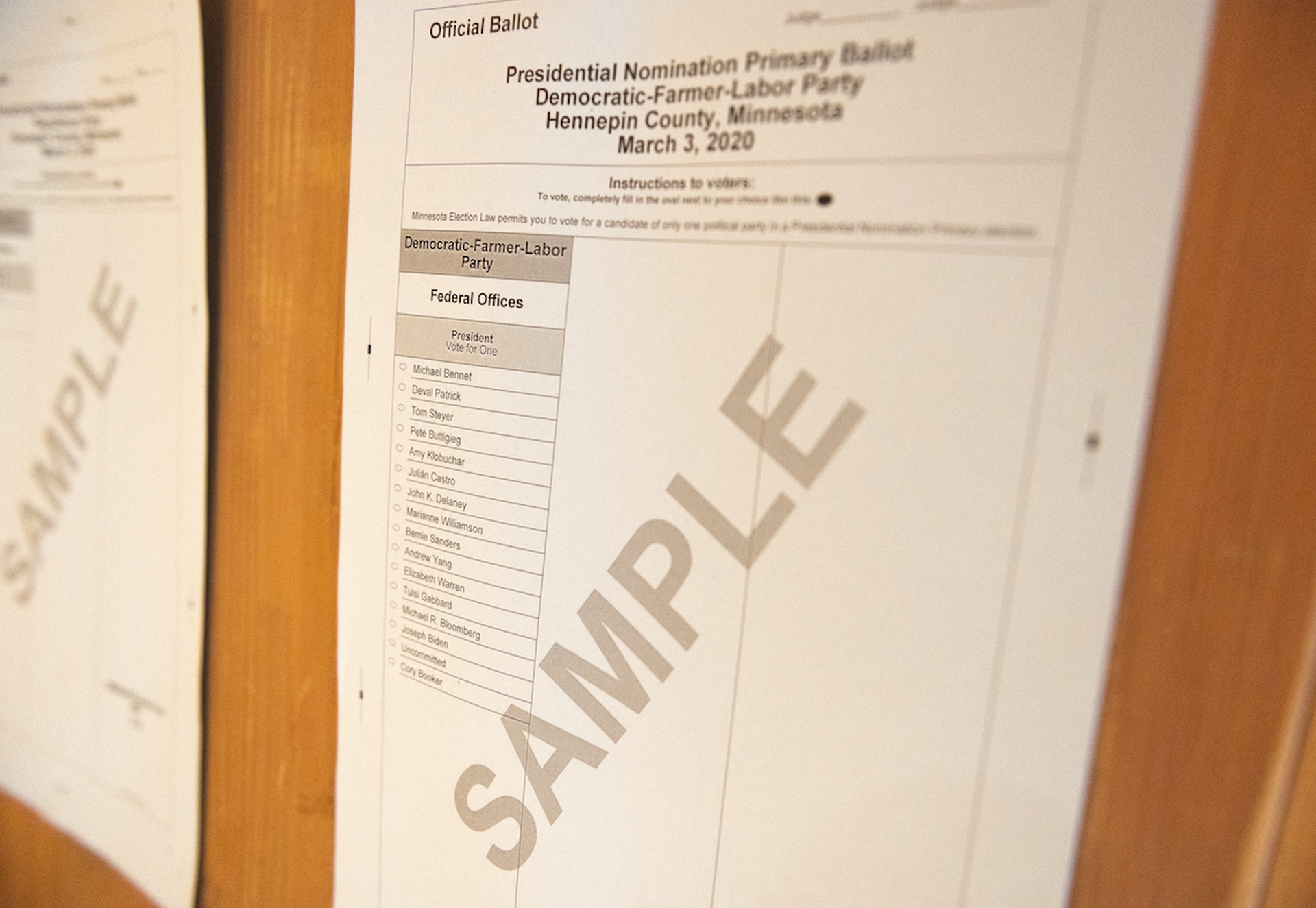 Il Super Tuesday 2020 delle primarie democratiche americane4