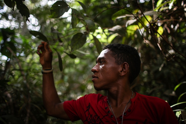 Un uomo in una foresta in Brasile