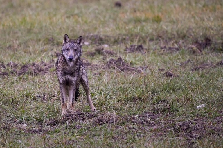 Il rapporto tra uomo e natura è al Coesistenza festival