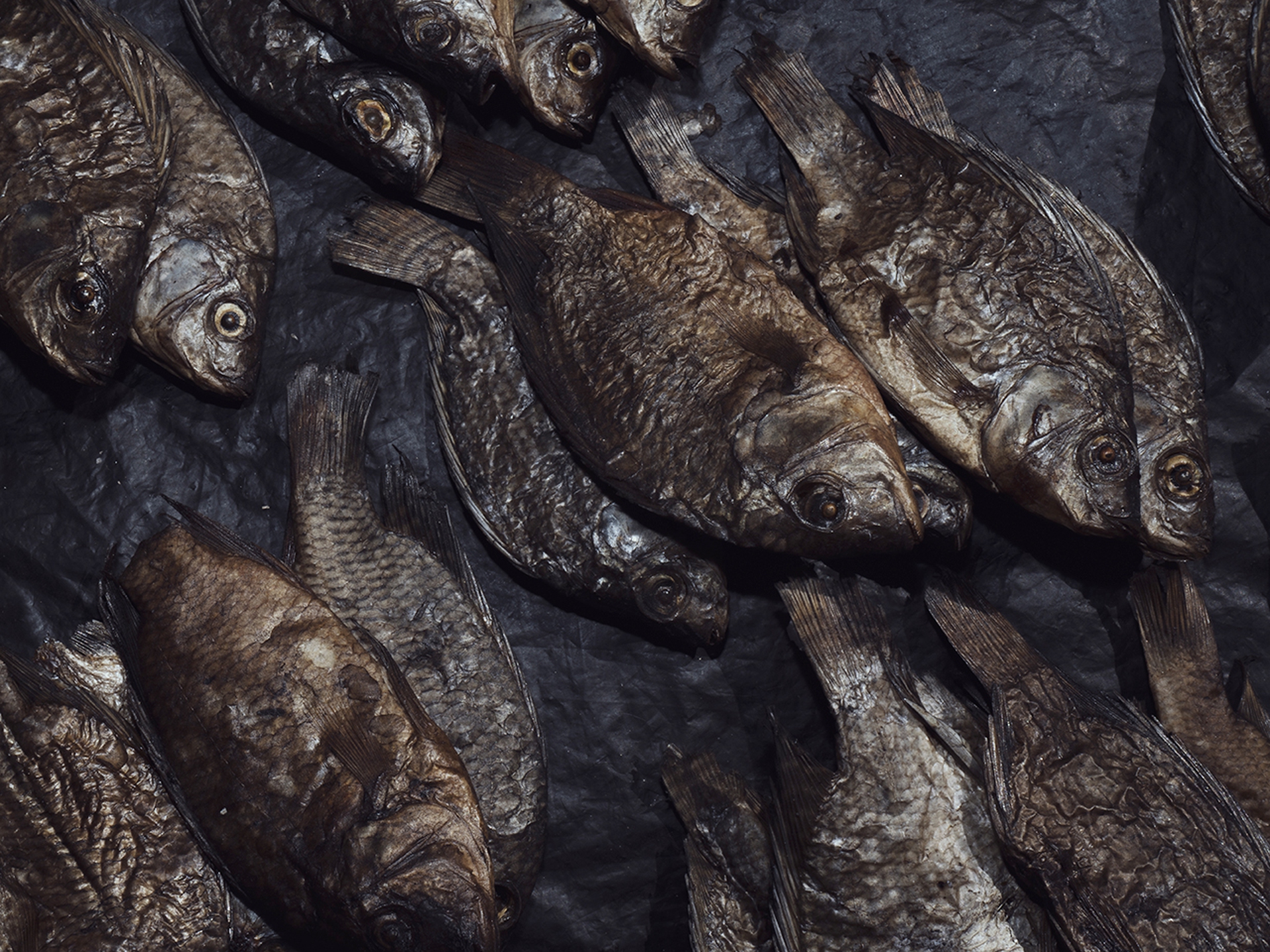 La comunità del Mozambico che si batte da sola contro l'inquinamento da carbone