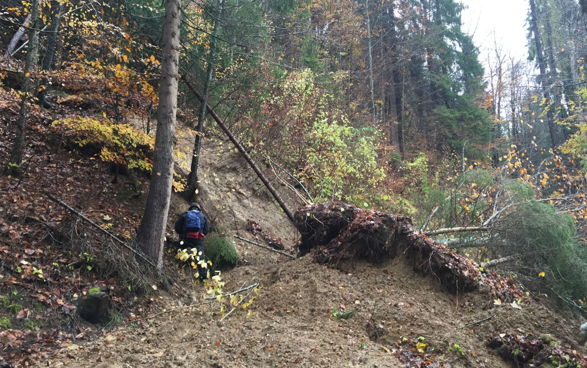 Una strada interrotta