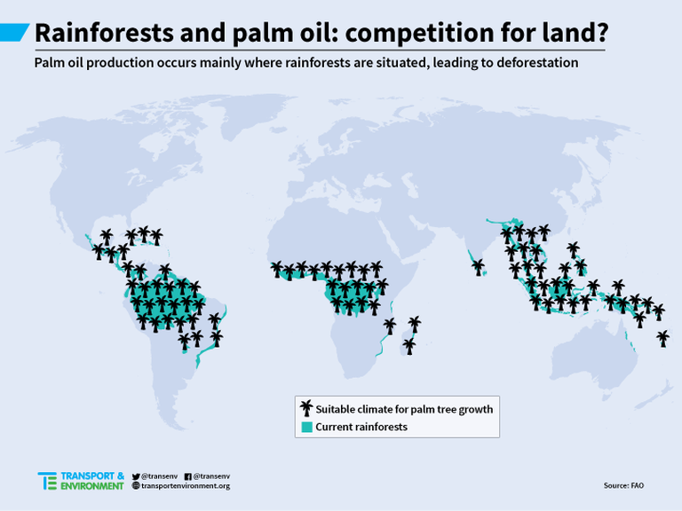 RainforestsPalmOilMap