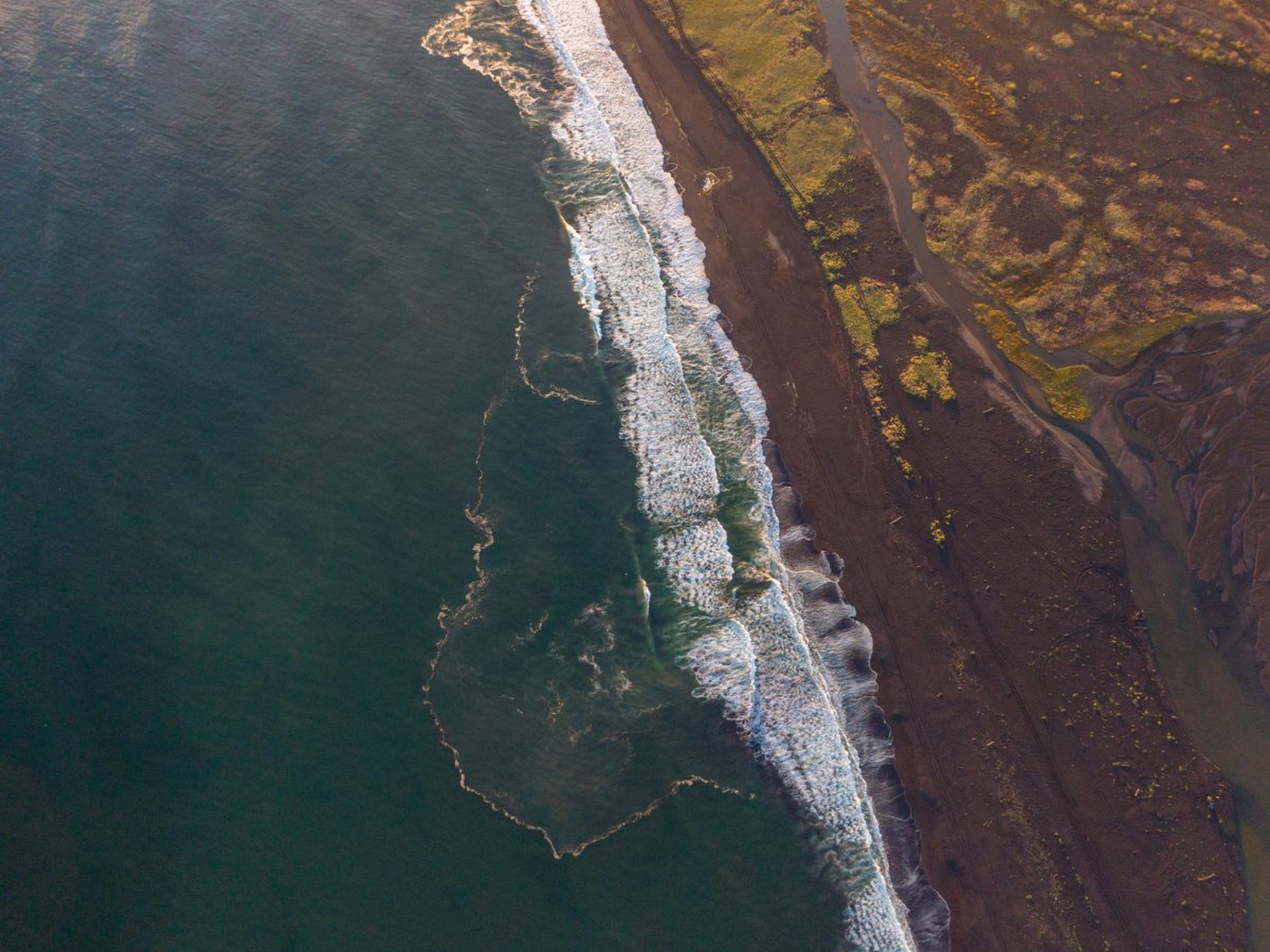 Ecological Disaster in the Kamchatka Peninsula, Russia
Экологическая катастрофа на Камчатке