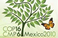 COP16, valigie pronte per Canc