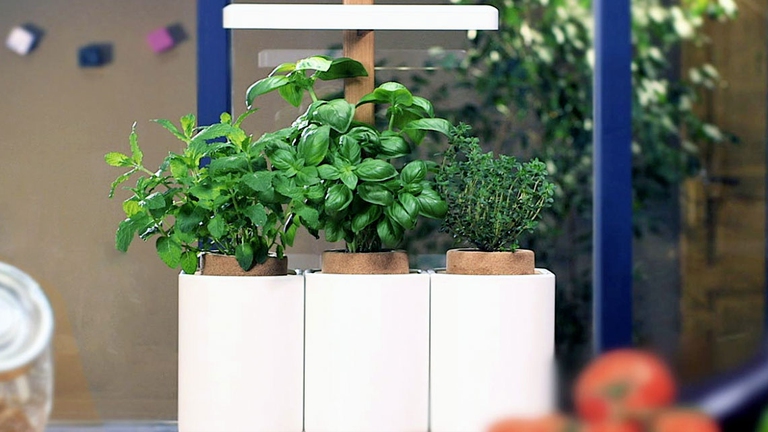 Lilo, microgiardinaggio a pod e led