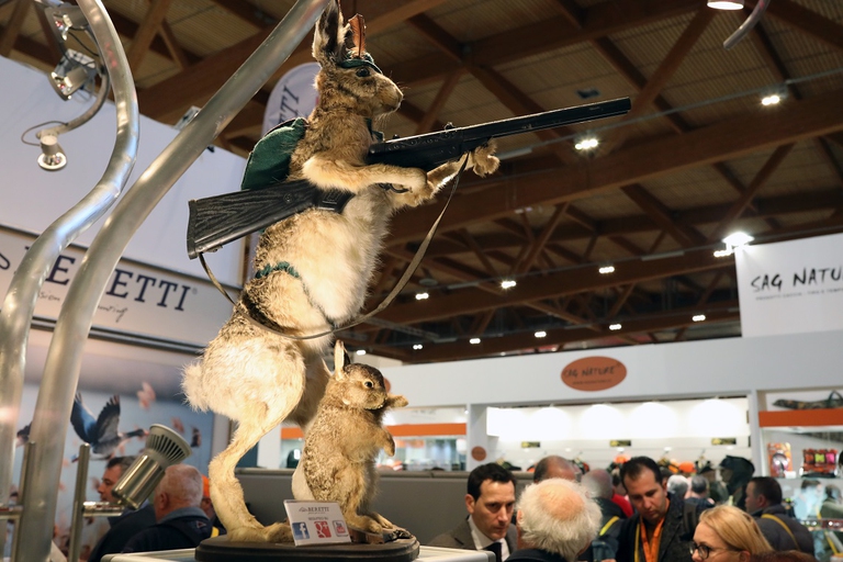 Lepre imbalsamata che imbraccia un'arma alla fiera delle armi di Vicenza