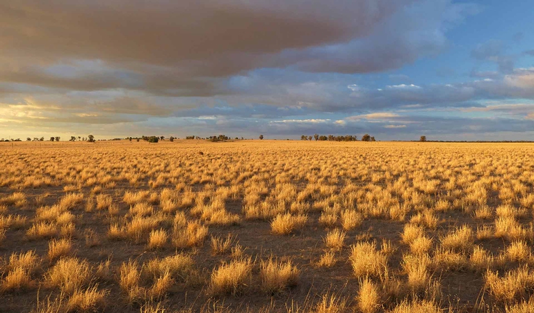 praterie di victoria