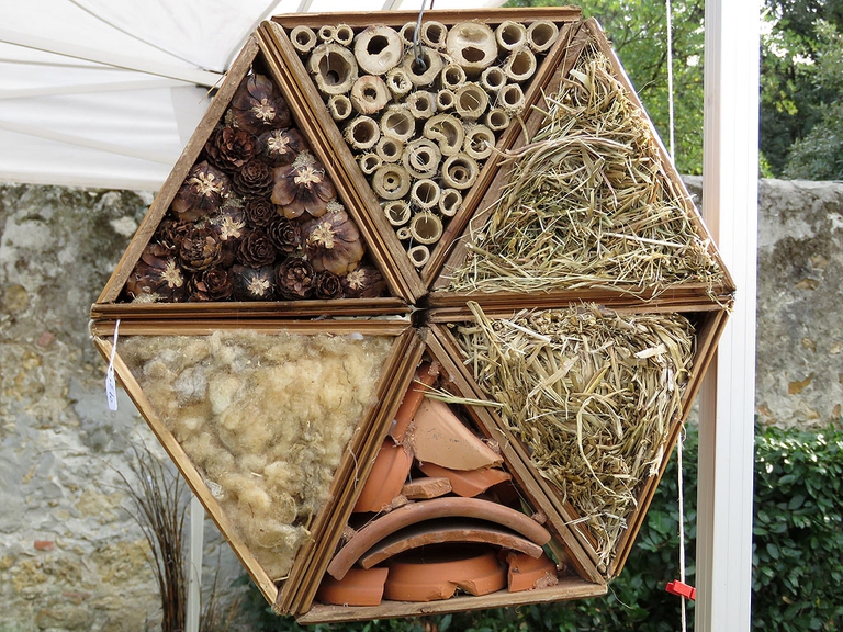 api_casetta_bee_hotel_impollinazione_salvaguardia