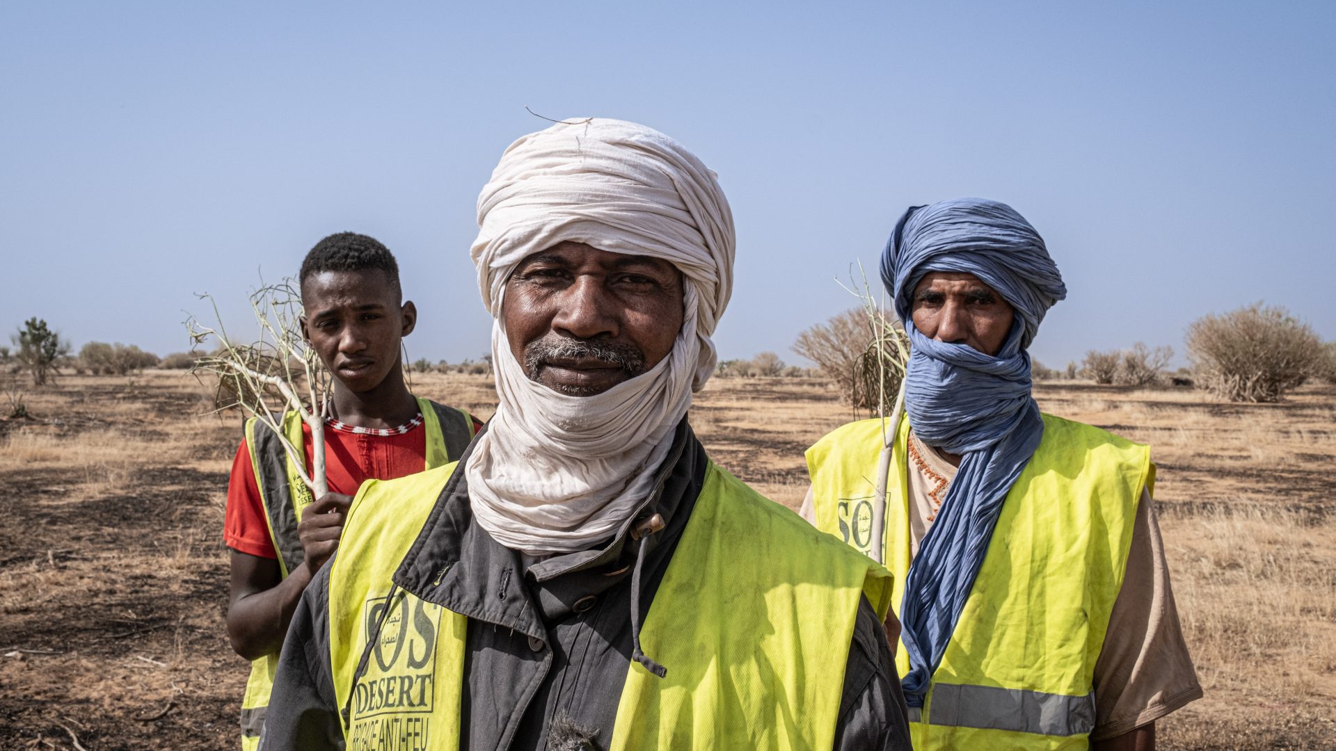 LongForm Sen Mau LifeGate-20