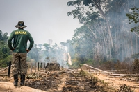 Foresta amazzonica, distrutta in 18 anni un’area grande come la Spagna