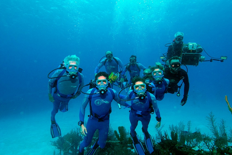 Le meraviglie del mare