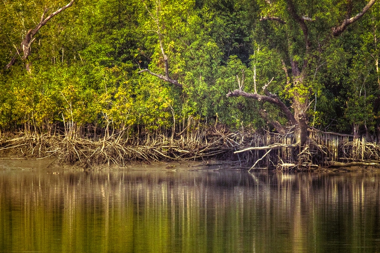sundarbans national park