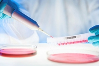 La Russia ha deciso di creare un database con il Dna di tutti gli esseri viventi