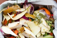 Alla Stanford University gli avanzi di cibo diventano mangime per gli animali