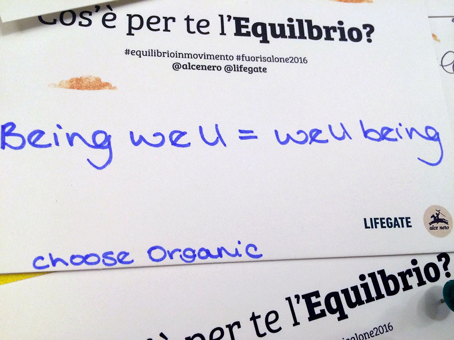 equilibrio17