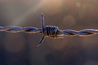 Ogni giorno è il Giorno della memoria, un canto di libertà. Per non dimenticare