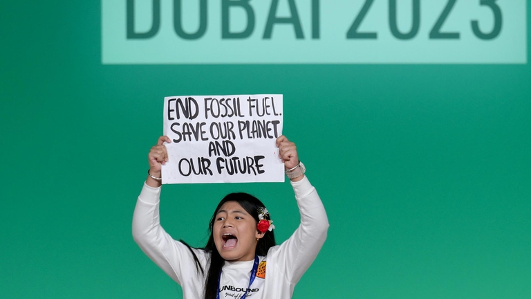 cop28, dubai, unfccc