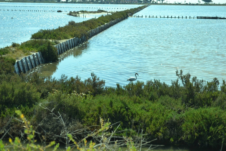 Cagliari weekend invernali