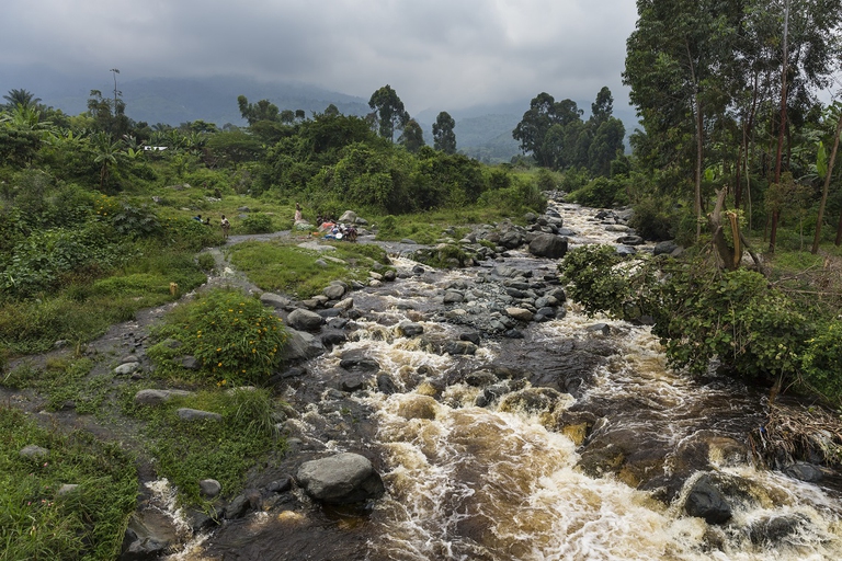 Corso d'acqua nel parco di Virunga