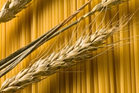 Pasta di Gragnano, storia di un’eccellenza protetta dal marchio Igp