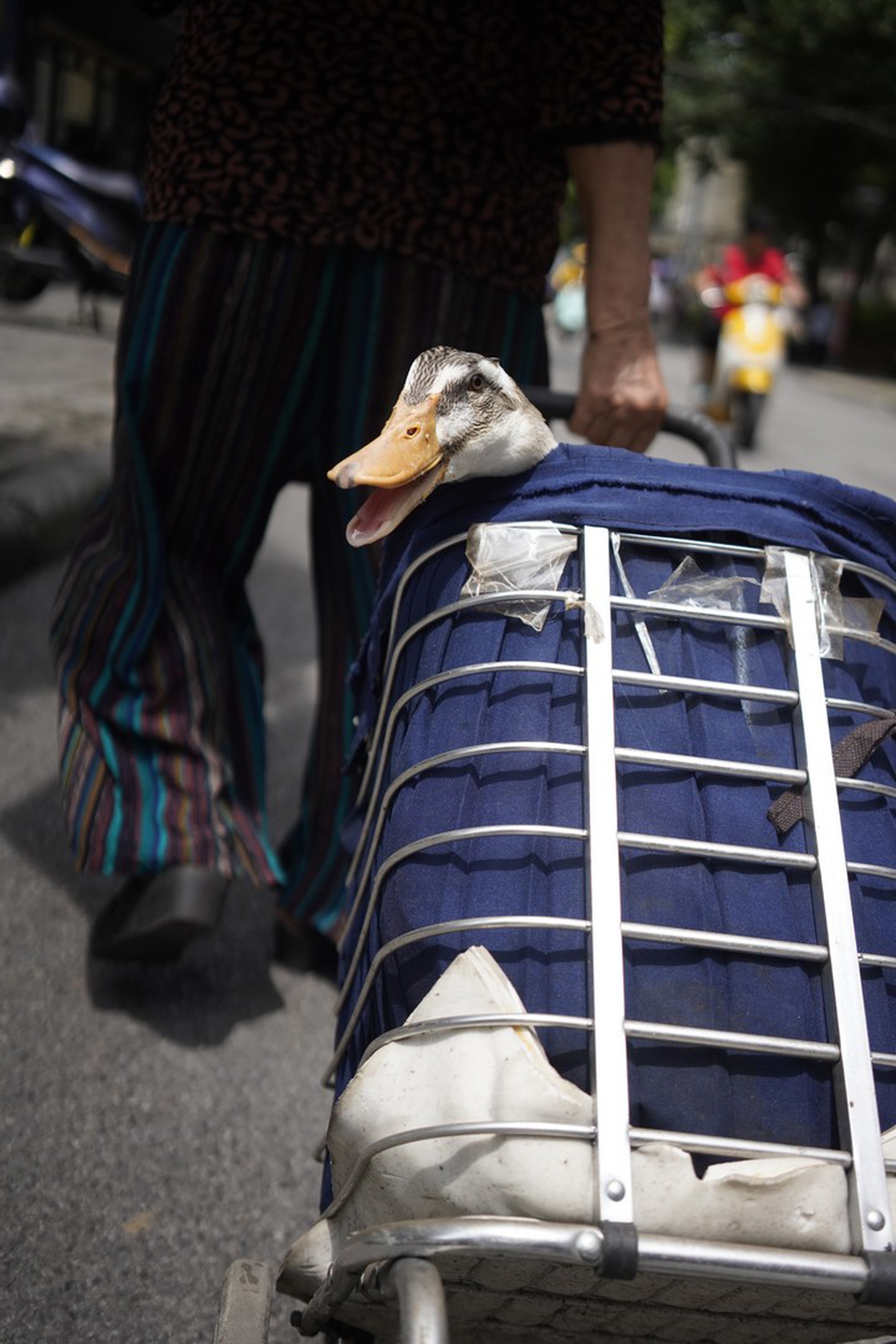 Un’immagine dai wet market in Cina