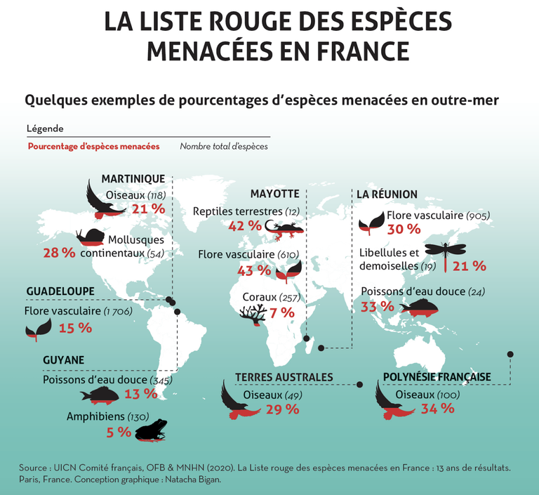 Francia, 2400 specie a rischio estinzione