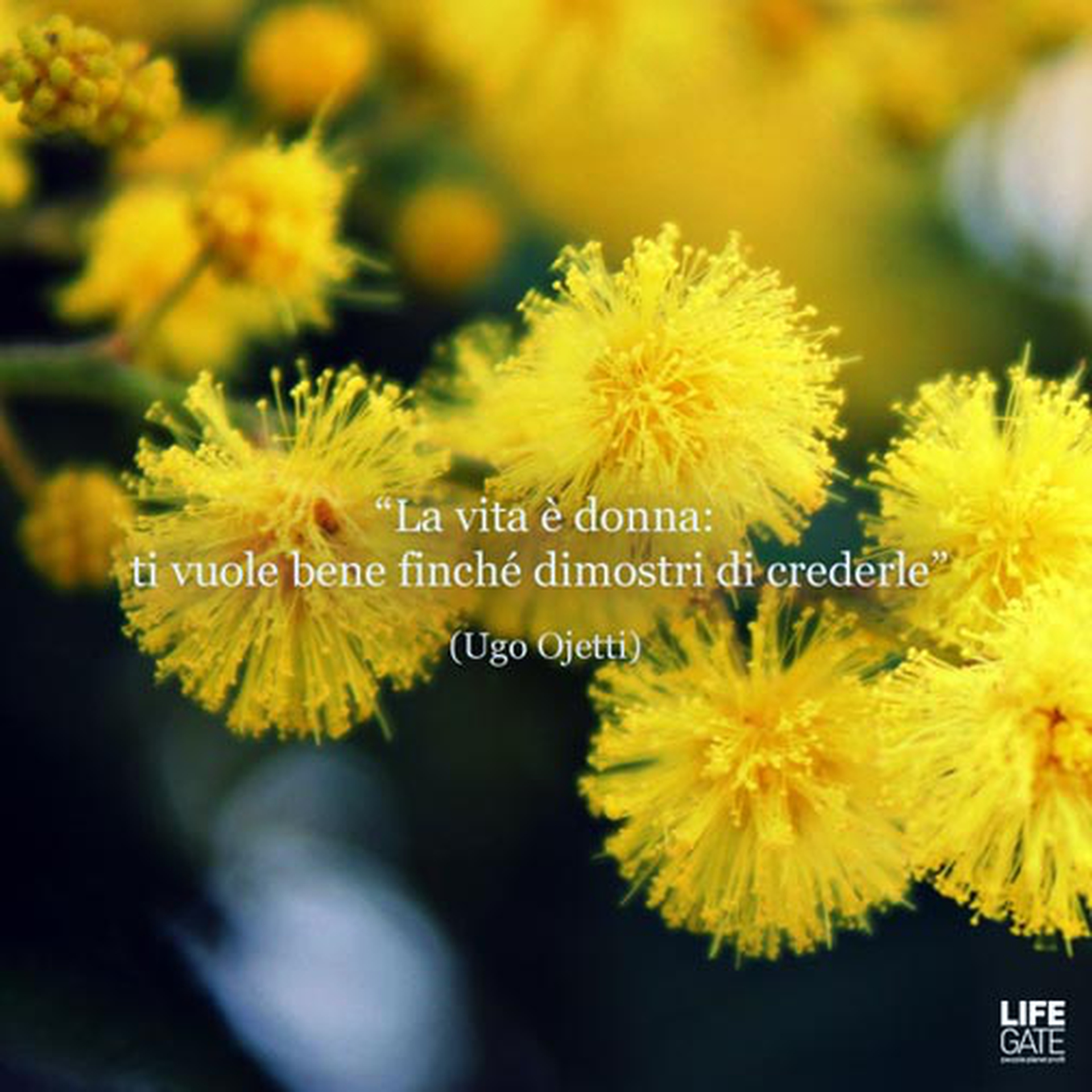 Le citazioni più belle per sempre - Ugo Ojetti