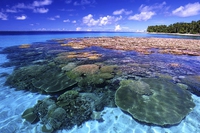 Salute umana e biodiversità sono collegate