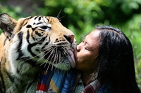Una tigre per amica