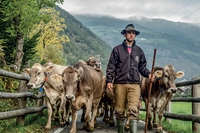Yogurt biologico, il primo fatto con latte fieno dell’Alto Adige arriva in Italia grazie ad Alce Nero e Mila
