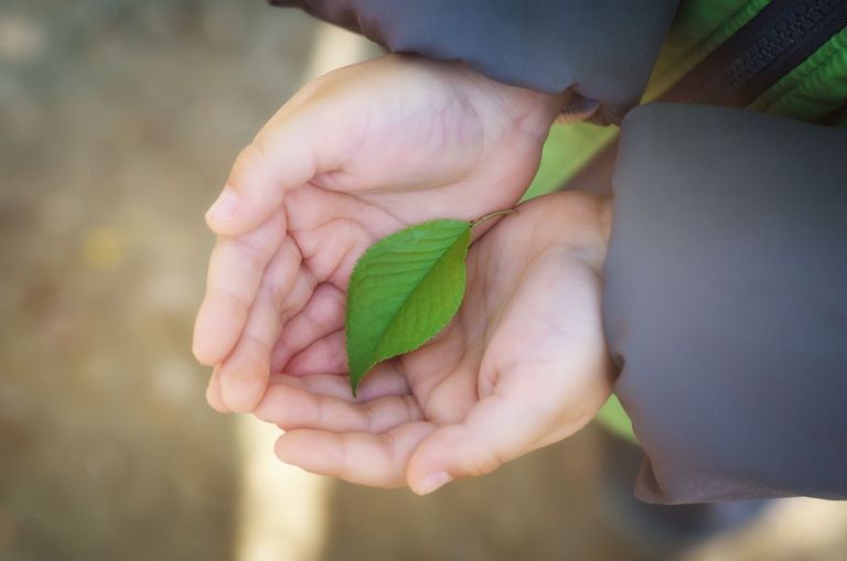 Simona Roveda per uno sviluppo sostenibile 