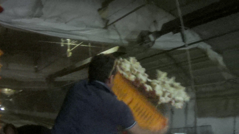 violenza allevamento polli