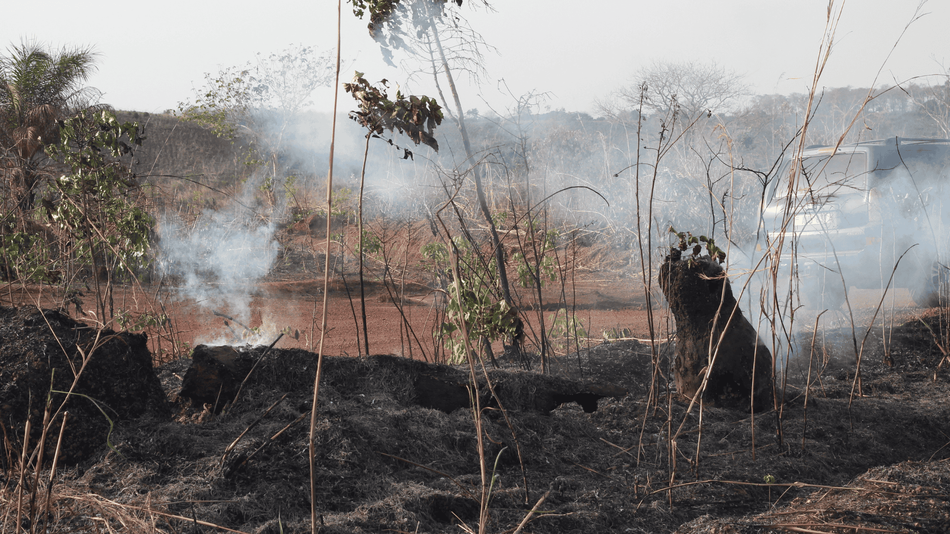 Agricoltura bruciata