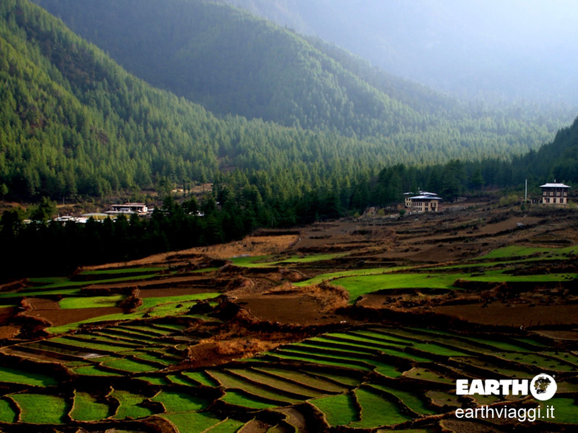 bhutan-terrazzamenti