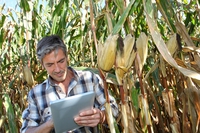 Questi numeri ci dimostrano la forza della nostra green economy
