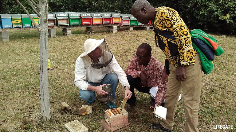 Delegazione apicoltori Burkina Faso