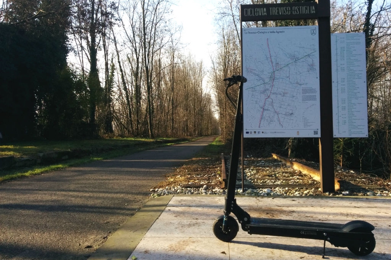 electric kick scooter