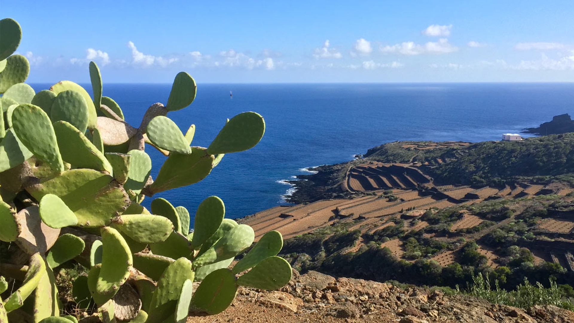 Pantelleria Parco Nazionale LifeGate