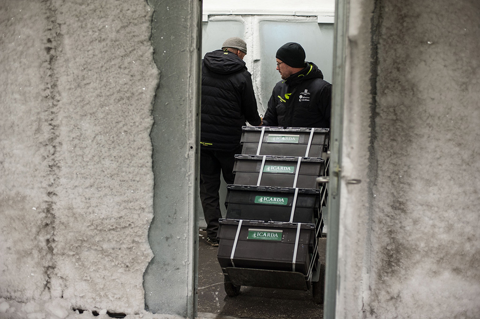 La Siria ha prelevato semi dal deposito per far fronte alla crisi alimentare