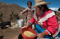 How tarwi is improving Andean women’s living conditions