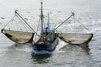 La pesca elettrica ha i giorni contati nei mari d’Europa
