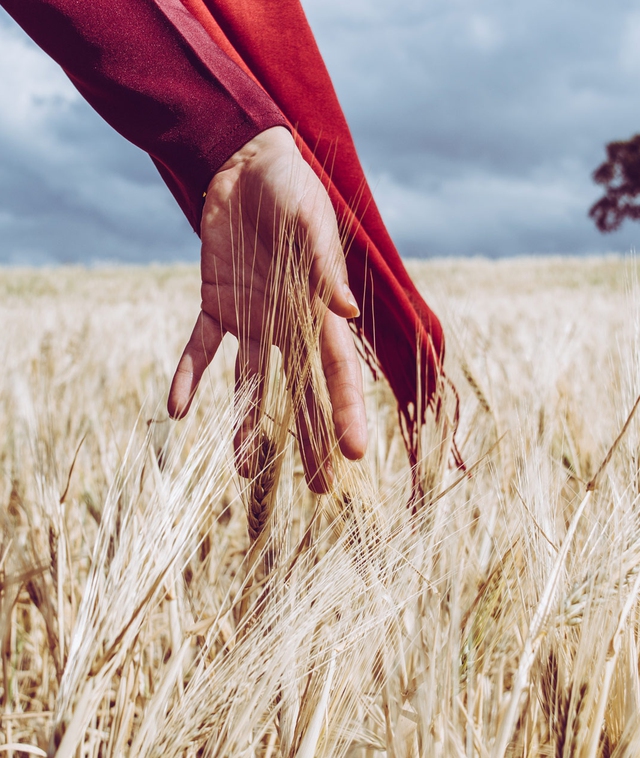 persona con vestito rosso nel grano