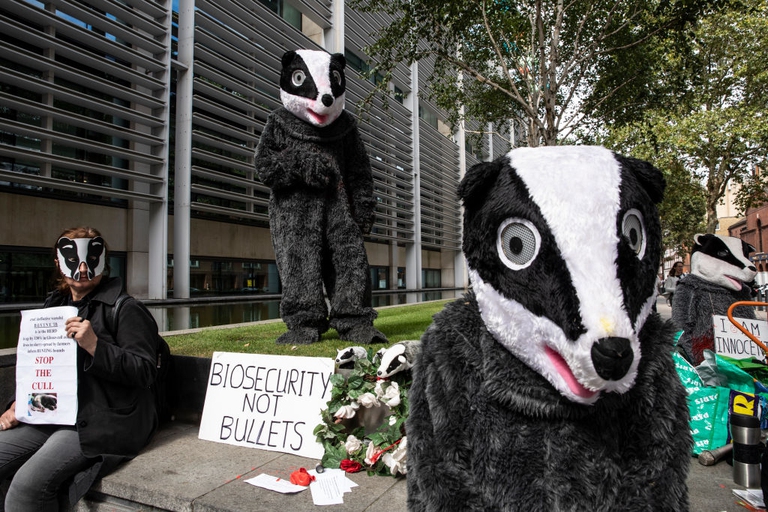 Una protesta a Londra per attirare l'attenzione su una serie di questioni, inclusa la decisione della DEFRA di continuare l'abbattimento dei tassi