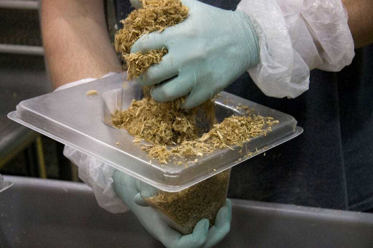 Materiale prodotto da funghi tritati