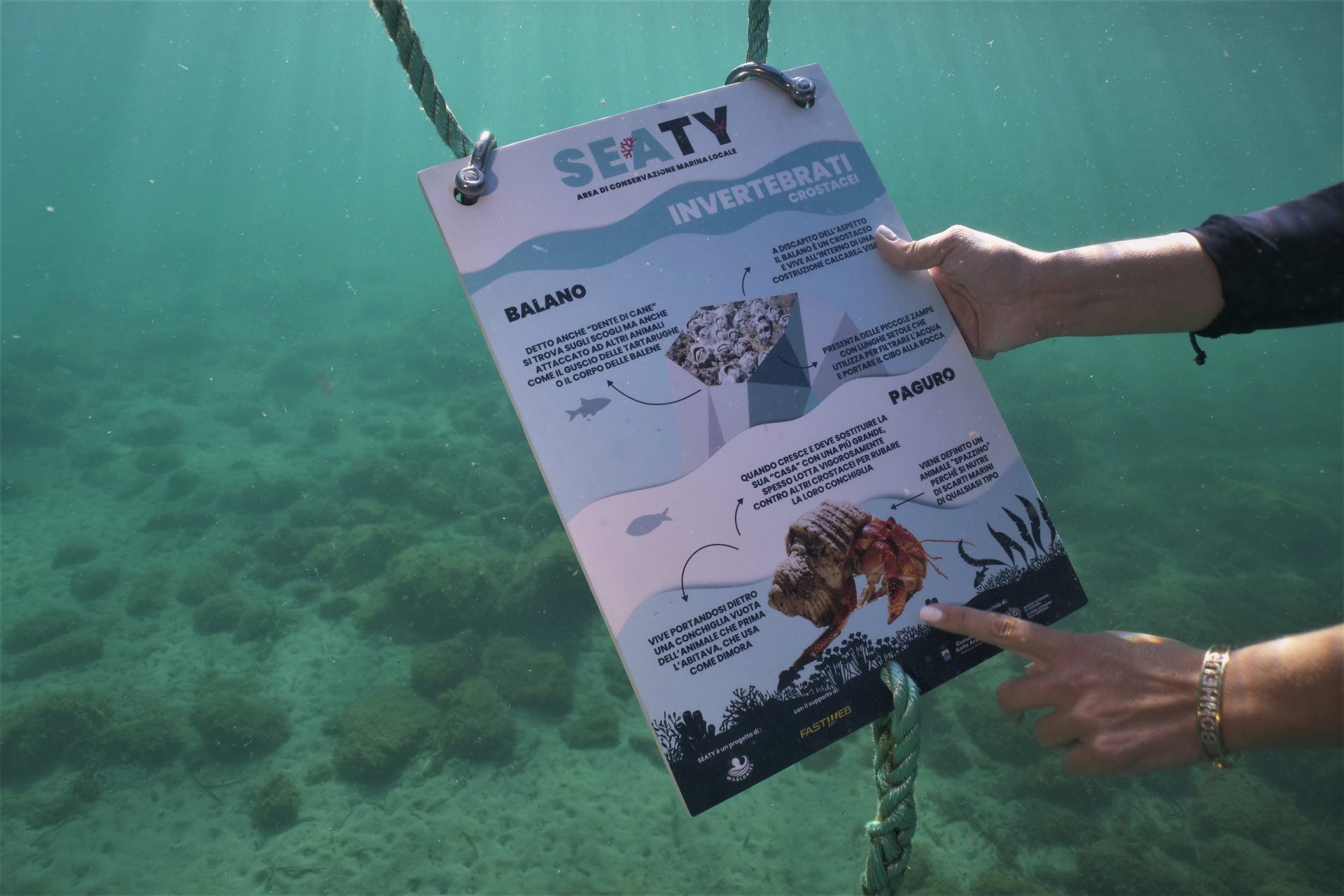 Seaty, in Sardegna nasce la prima area di conservazione marina locale
